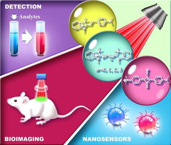 基于菁染料平臺(tái)熒光探針的最新進(jìn)展-精細(xì)化工重點(diǎn)實(shí)驗(yàn)室