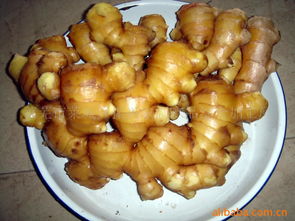 萊蕪市萊城區(qū)振興農(nóng)副產(chǎn)品綜合加工廠 推動(dòng)農(nóng)副產(chǎn)品精深加工，助力鄉(xiāng)村振興