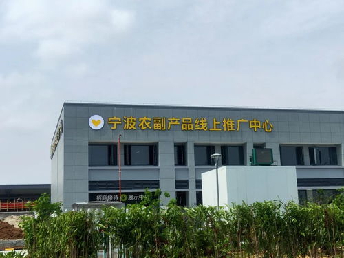 寧波農(nóng)副產(chǎn)品物流中心一期試運營開啟 農(nóng)產(chǎn)品流通新樞紐，便捷交通指南助您暢行